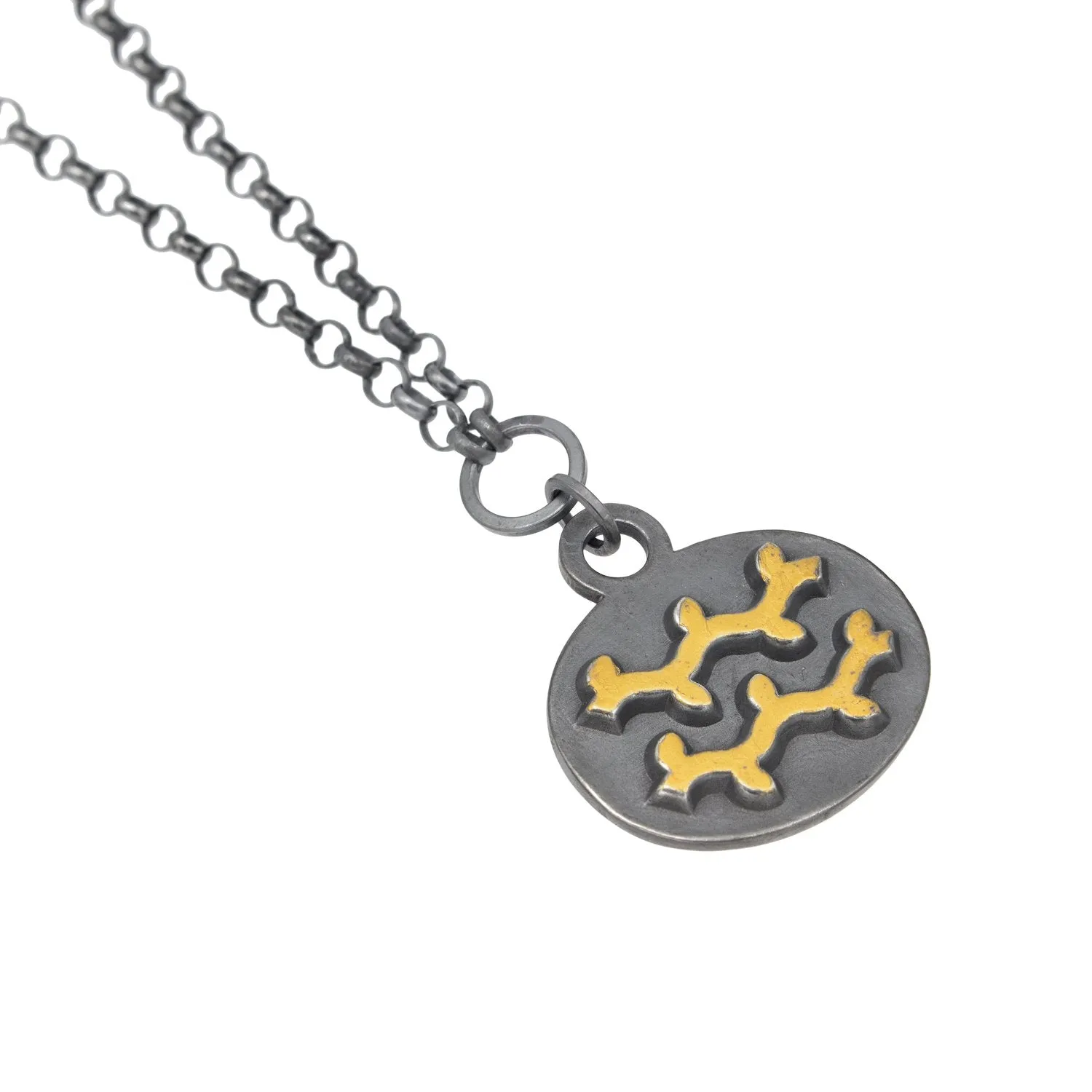 Aquarius Charm Necklace