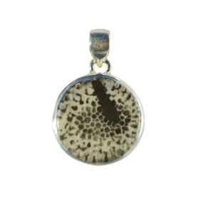 Fossilised Coral Pendant Necklace